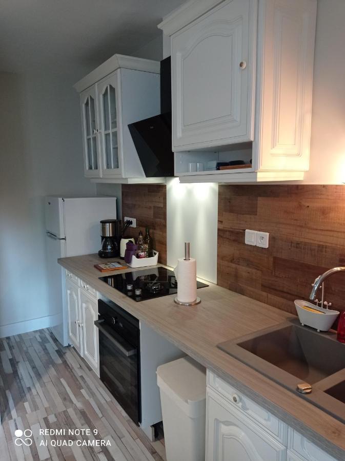 Grand Appartement 4 Etoiles A 800M De La Mer Saint-Malo Eksteriør billede