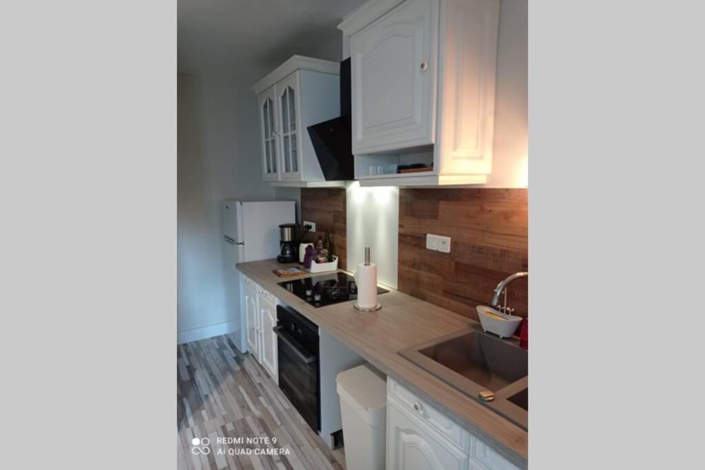Grand Appartement 4 Etoiles A 800M De La Mer Saint-Malo Eksteriør billede